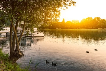 20150625_6578
