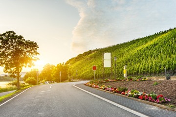 20150625_6556