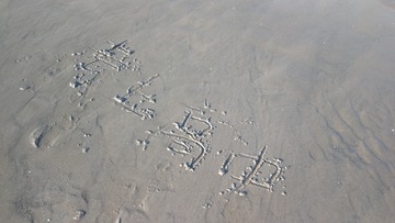3647091