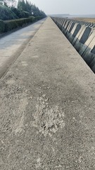 1000013551