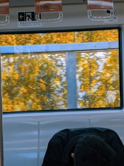 1000001469