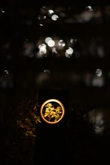 1000101806