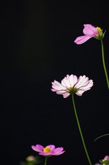 K5IP2884.jpg