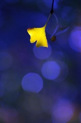 K5IP2955.jpg