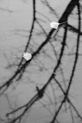 K20D3381.jpg