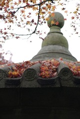 K20D3421.jpg