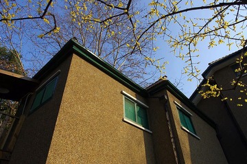 K5IP4056.jpg