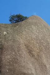 K20D4288.jpg