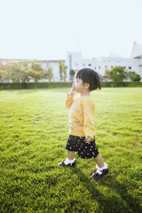C80A1669_