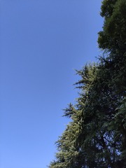 1000086523