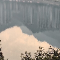 1000011060