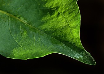 2050670
