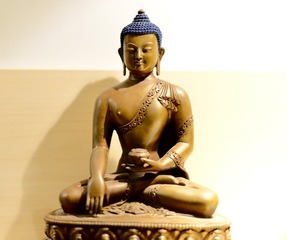 TYM_2156