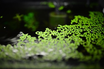DSC_3048.JPG