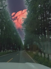 1303757