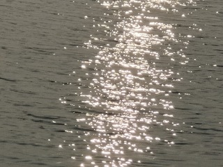 1000017847