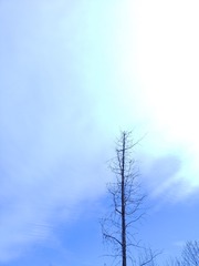 1000026780