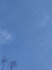 1000018757