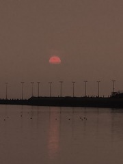 1000025308