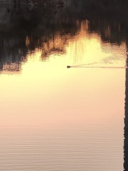 1000026978