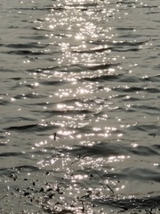 1000017837
