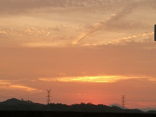 903836