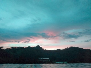1272212