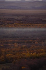 DSC08320