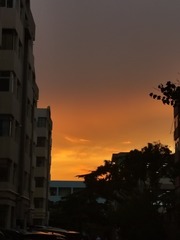 1000045330