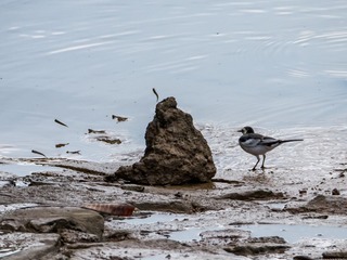 1302564