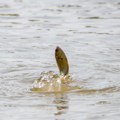 1296890