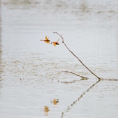 1307846