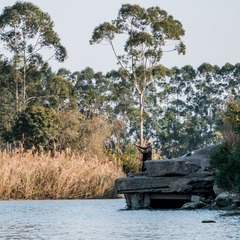 950032