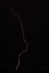 1307985