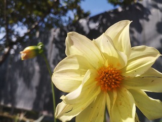 IMG_20201007_125938