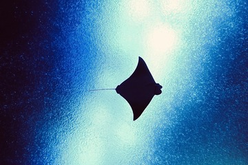 001