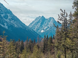 1000026404