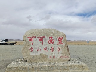 1000036031