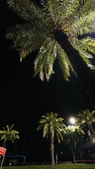 1000016306
