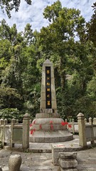 1000263325