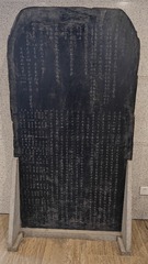 1000263472