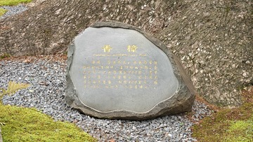 1000019071