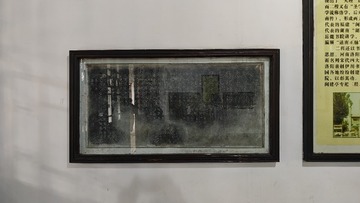 1000263442