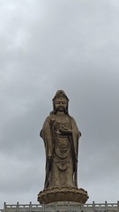 1000019082