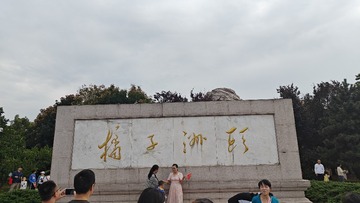 1000263373