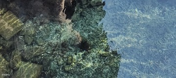 1000159938