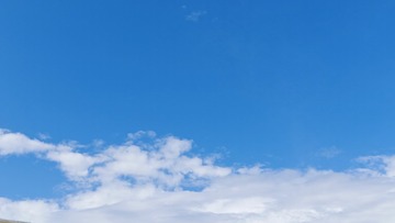 1000015186