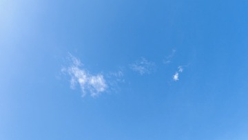 1000015185