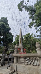 1000263319