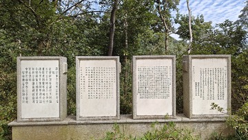 1000263316